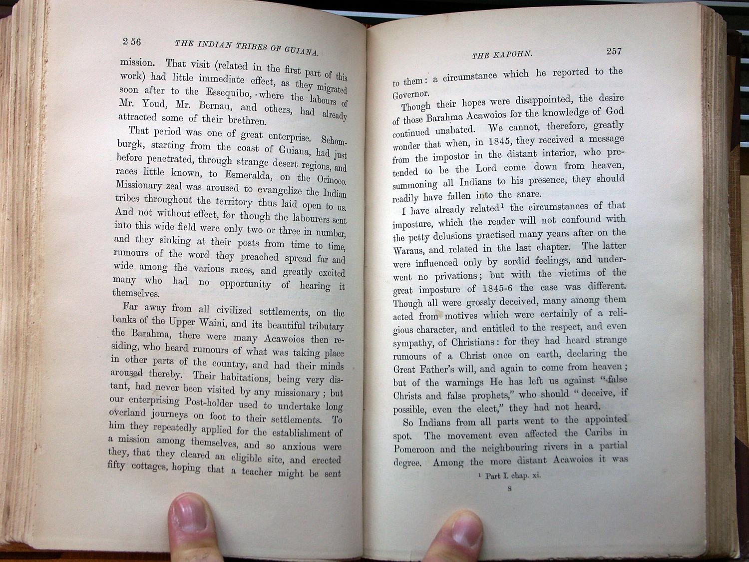 zz-bret68,s.256 acawaio oder kapohn